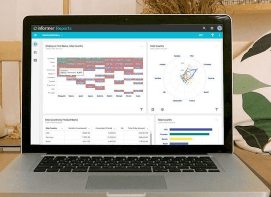 Informer 5.5 Preview
